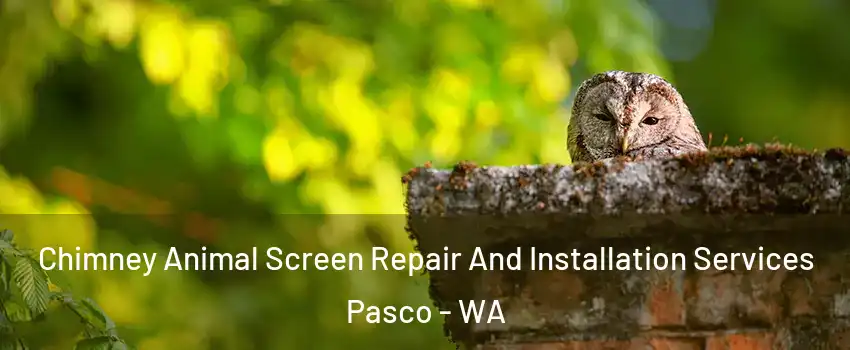  Chimney Animal Screen Repair And Installation Services Pasco - WA