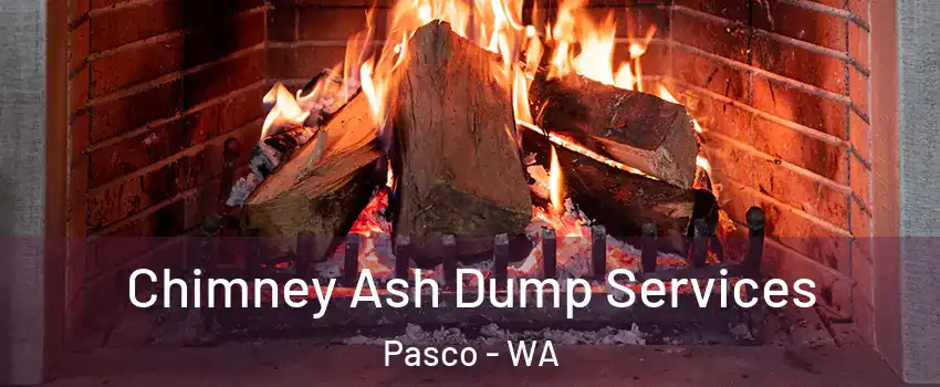  Chimney Ash Dump Services Pasco - WA