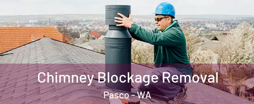  Chimney Blockage Removal Pasco - WA