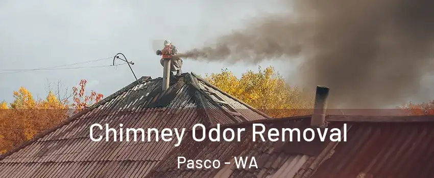  Chimney Odor Removal Pasco - WA