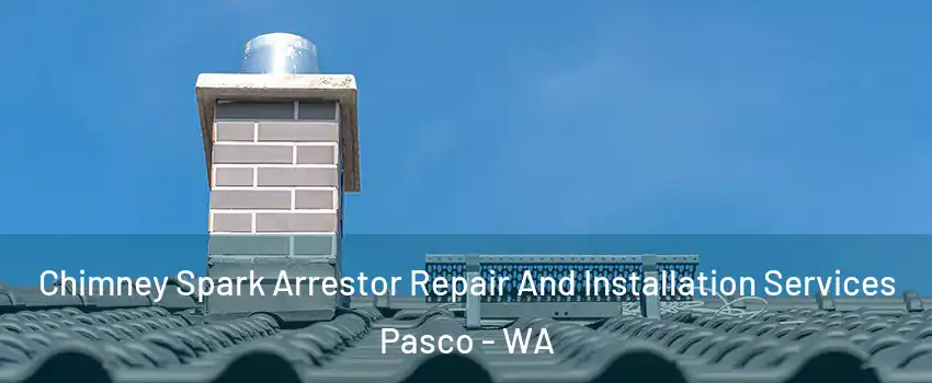  Chimney Spark Arrestor Repair And Installation Services Pasco - WA