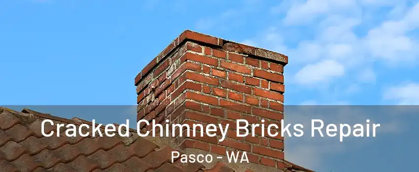  Cracked Chimney Bricks Repair Pasco - WA