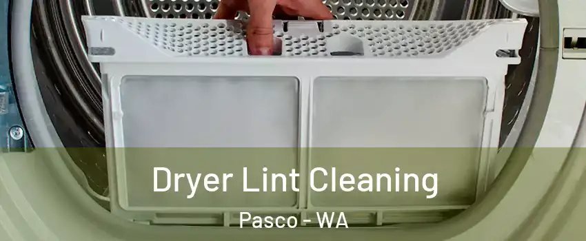  Dryer Lint Cleaning Pasco - WA