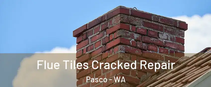  Flue Tiles Cracked Repair Pasco - WA