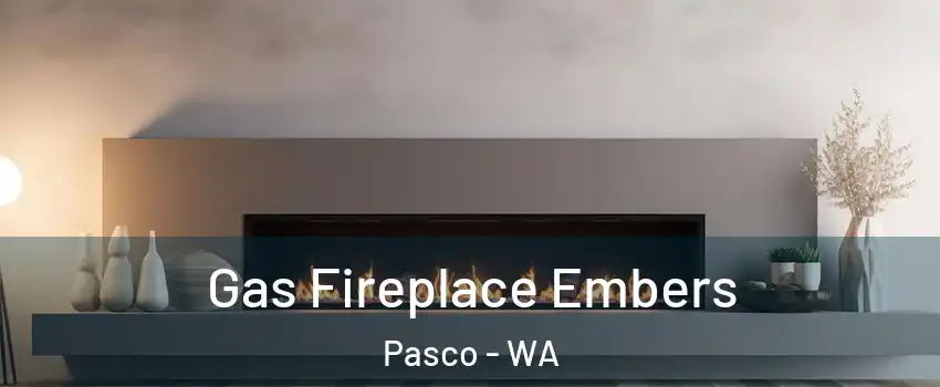  Gas Fireplace Embers Pasco - WA