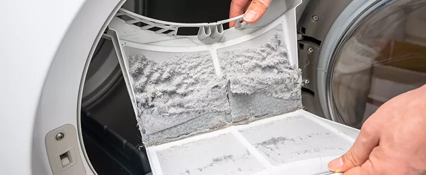 Best Dryer Lint Removal Company in Pasco, Washington